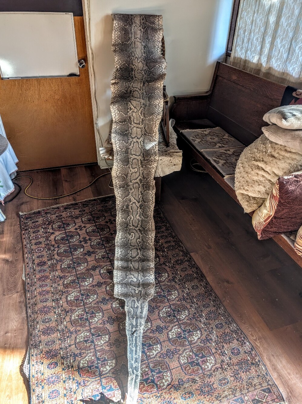Authentic Reticulated Python Snake pelt 14feet - Picture 5 of 8